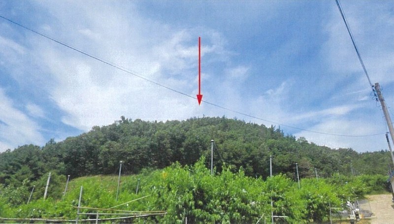 2025타경7866 경상북도 영천시 화남면 죽곡리 산105-1 임야 경매 이미지