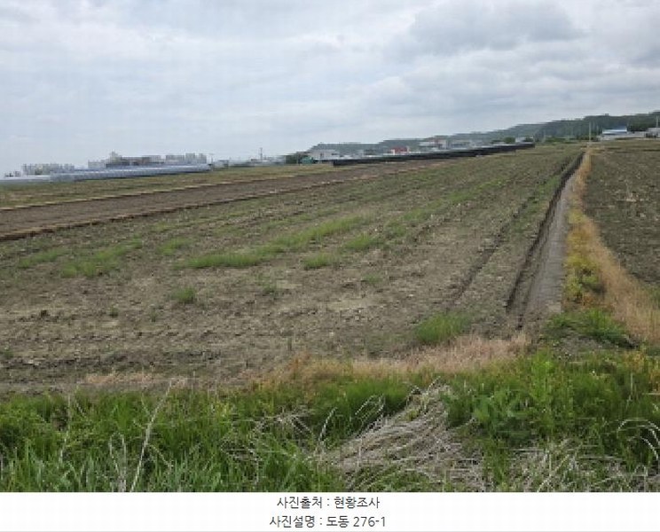 2025타경7943 경상북도 영천시 도동 276-1 농지 경매 이미지