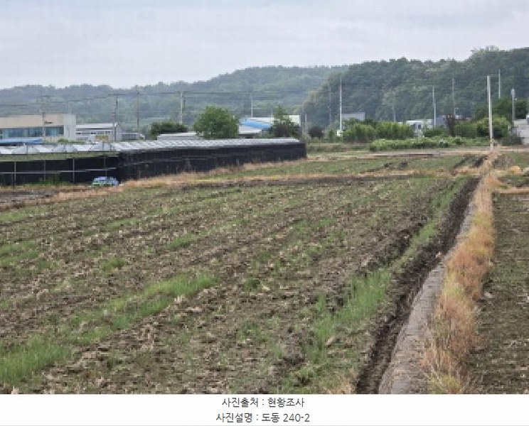 2025타경7943 경상북도 영천시 도동 276-1 농지 경매 이미지