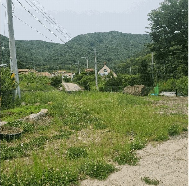 2025타경8085 경상북도 칠곡군 북삼읍 숭오리 1387-4 농지 경매 이미지
