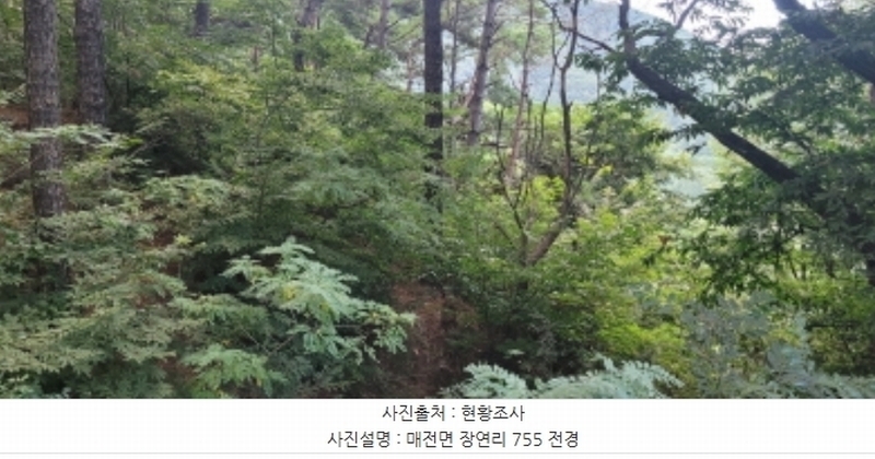 2024타경6953 경상북도 청도군 매전면 장연리 755 농지 경매 이미지
