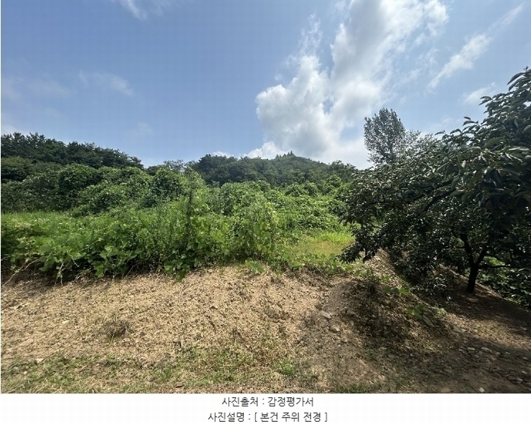 2024타경6953 경상북도 청도군 매전면 장연리 755 농지 경매 이미지