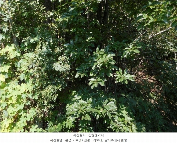 2024타경8973 경상북도 경산시 진량읍 아사리 101 농지 경매 이미지