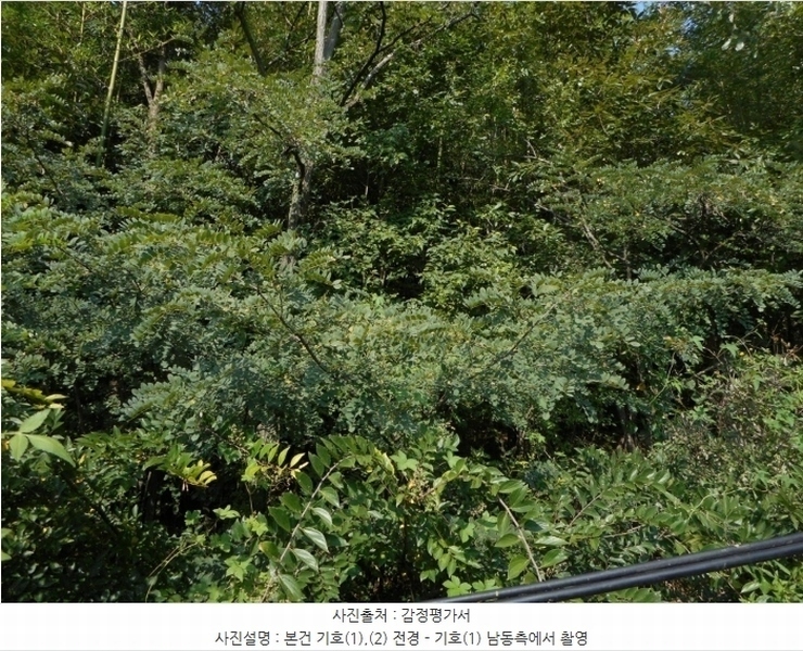 2024타경8973 경상북도 경산시 진량읍 아사리 101 농지 경매 이미지