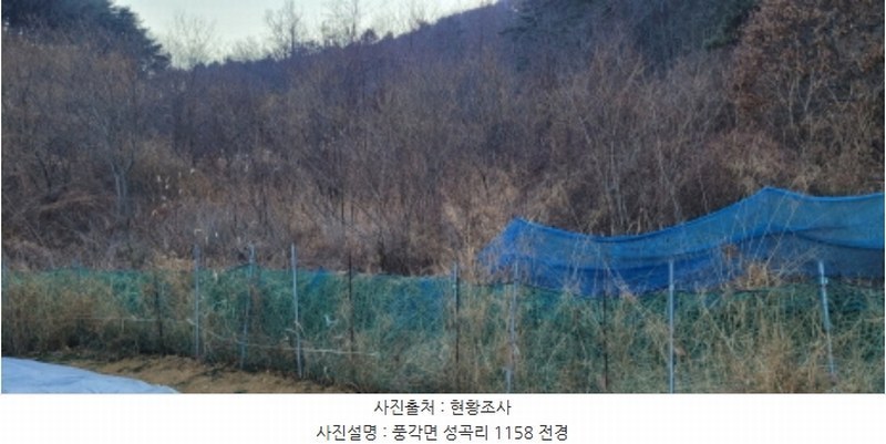 2024타경11344 경상북도 청도군 풍각면 성곡리 1158 농지 경매 이미지