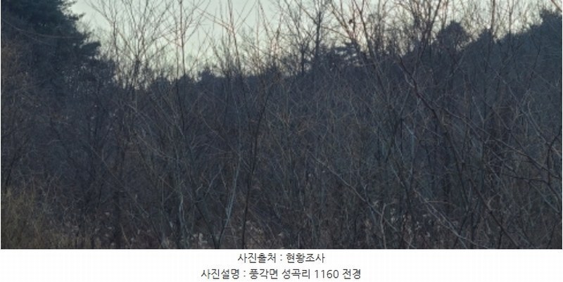 2024타경11344 경상북도 청도군 풍각면 성곡리 1158 농지 경매 이미지