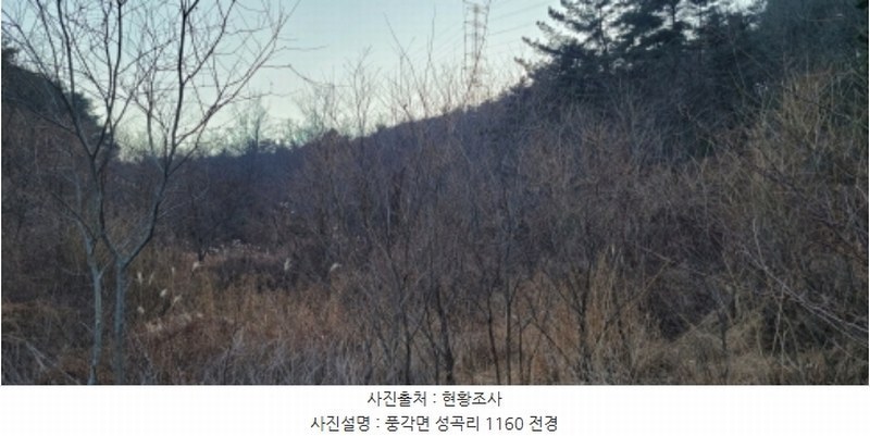 2024타경11344 경상북도 청도군 풍각면 성곡리 1158 농지 경매 이미지