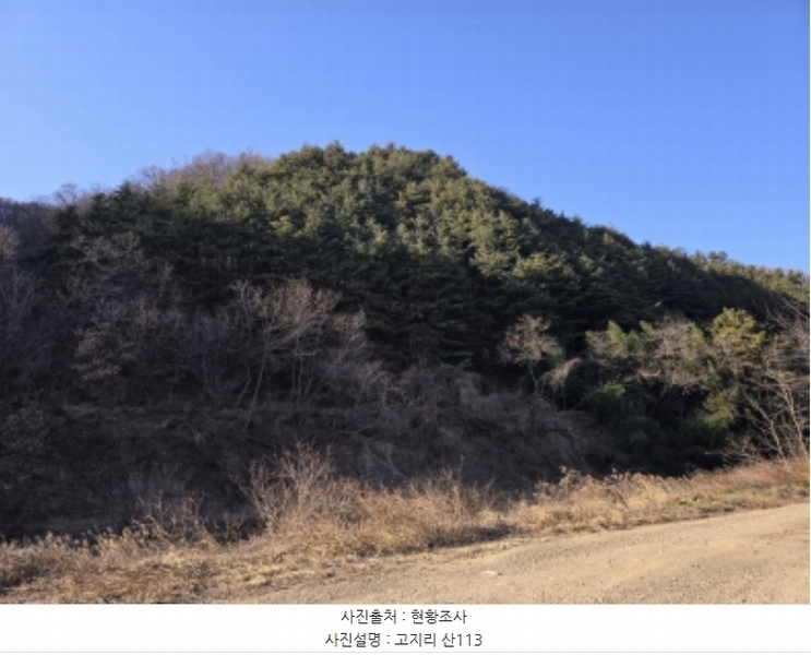 2024타경127683 경상북도 영천시 북안면 고지리 산113 임야 경매 이미지