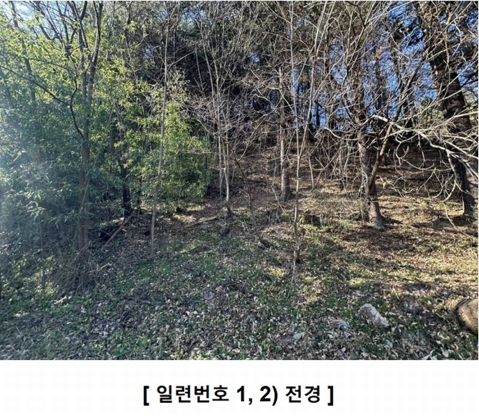 2024타경127683 경상북도 영천시 북안면 고지리 산113 임야 경매 이미지