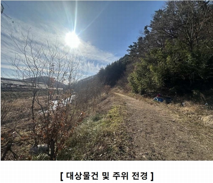 2024타경127683 경상북도 영천시 북안면 고지리 산113 임야 경매 이미지