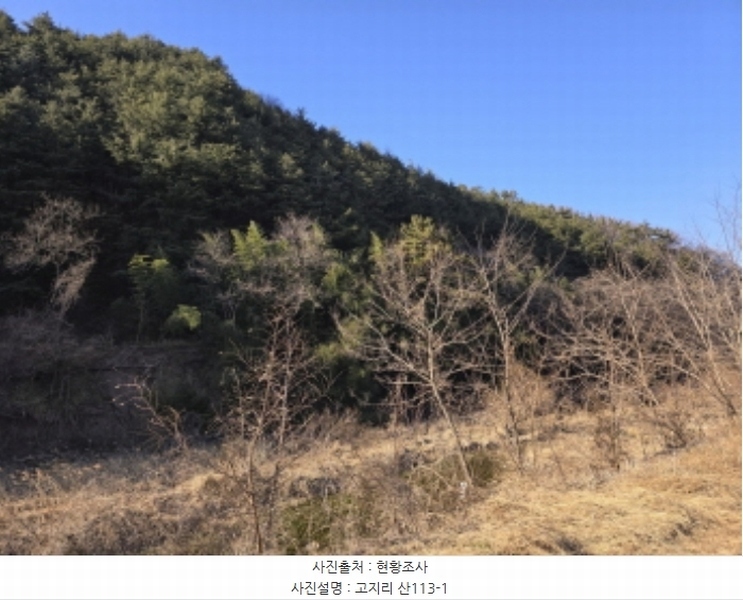 2024타경127683 경상북도 영천시 북안면 고지리 산113 임야 경매 이미지