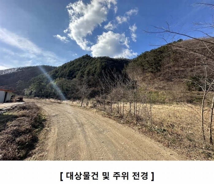 2024타경127683 경상북도 영천시 북안면 고지리 산113 임야 경매 이미지