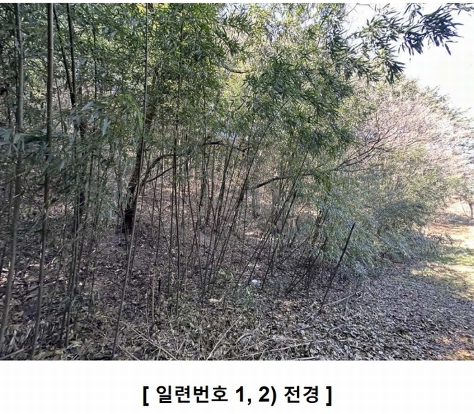 2024타경127683 경상북도 영천시 북안면 고지리 산113 임야 경매 이미지