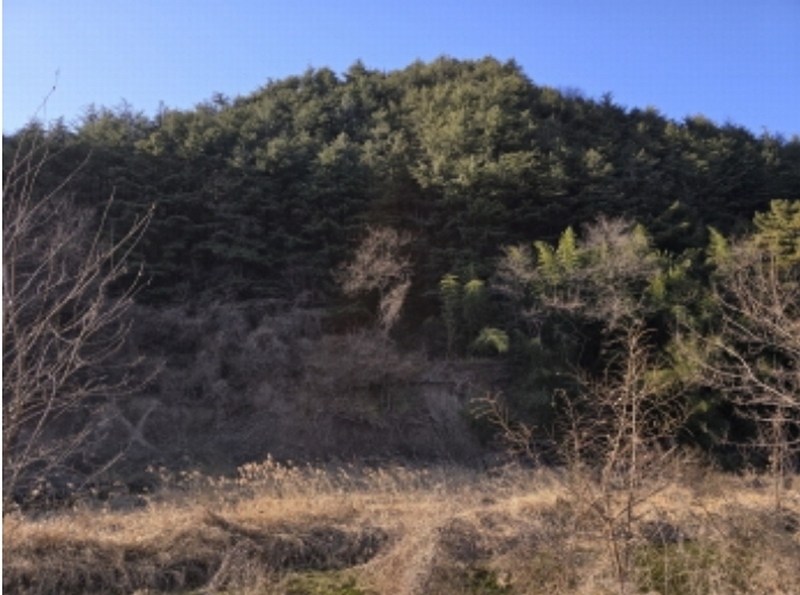2024타경127683 경상북도 영천시 북안면 고지리 산113 임야 경매 이미지