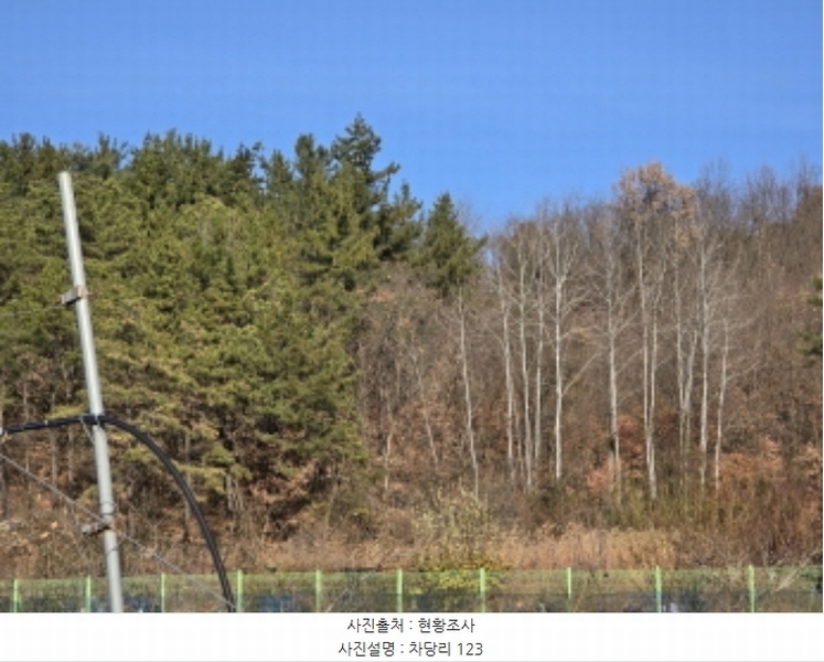 2024타경127782 경상북도 영천시 고경면 차당리 123 농지 경매 이미지