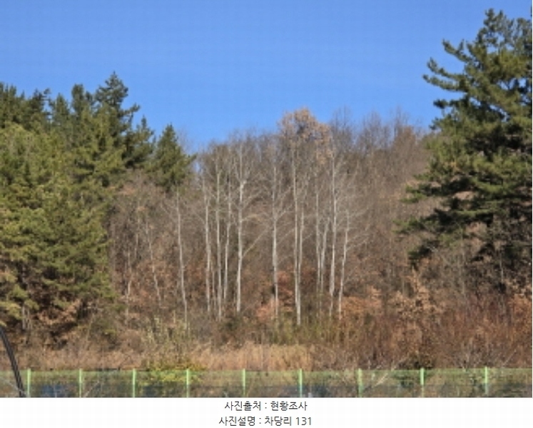 2024타경127782 경상북도 영천시 고경면 차당리 123 농지 경매 이미지