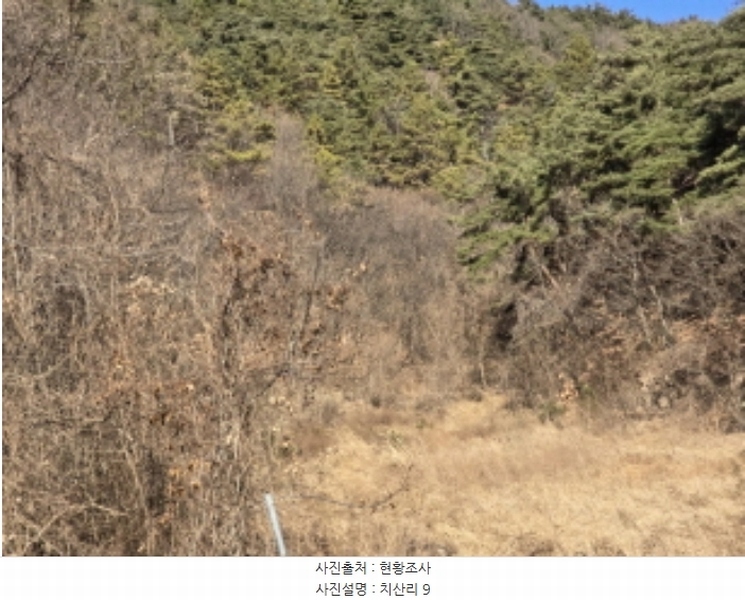 2024타경129412 경상북도 영천시 신녕면 치산리 9 농지 경매 이미지