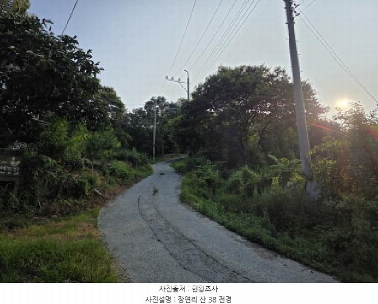 2025타경787 경상북도 청도군 매전면 장연리 산38 임야 경매 이미지