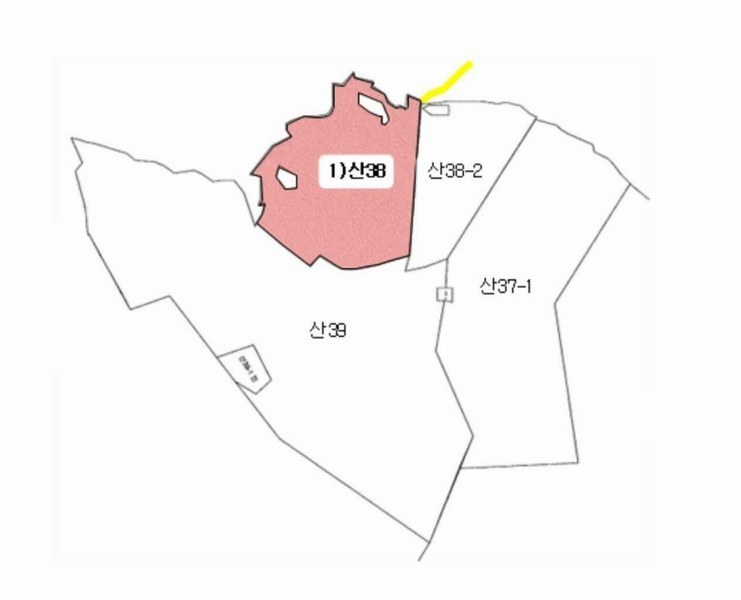 2025타경787 경상북도 청도군 매전면 장연리 산38 임야 경매 이미지