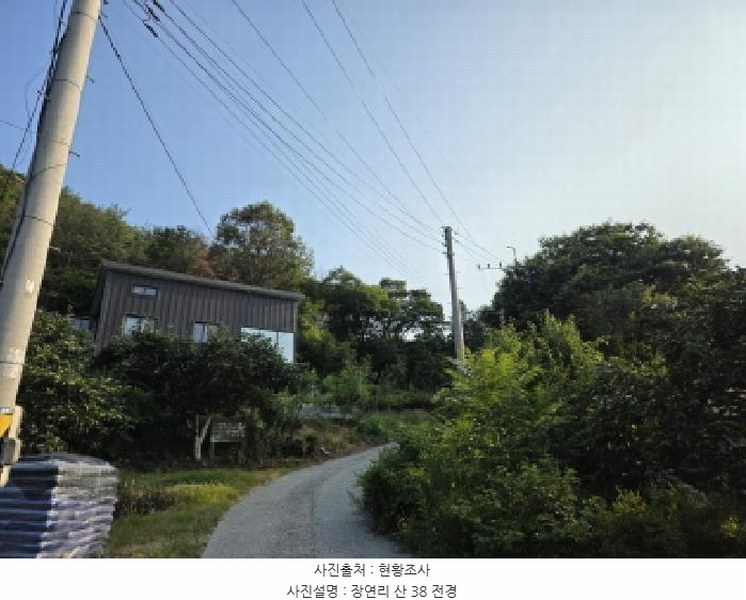 2025타경787 경상북도 청도군 매전면 장연리 산38 임야 경매 이미지