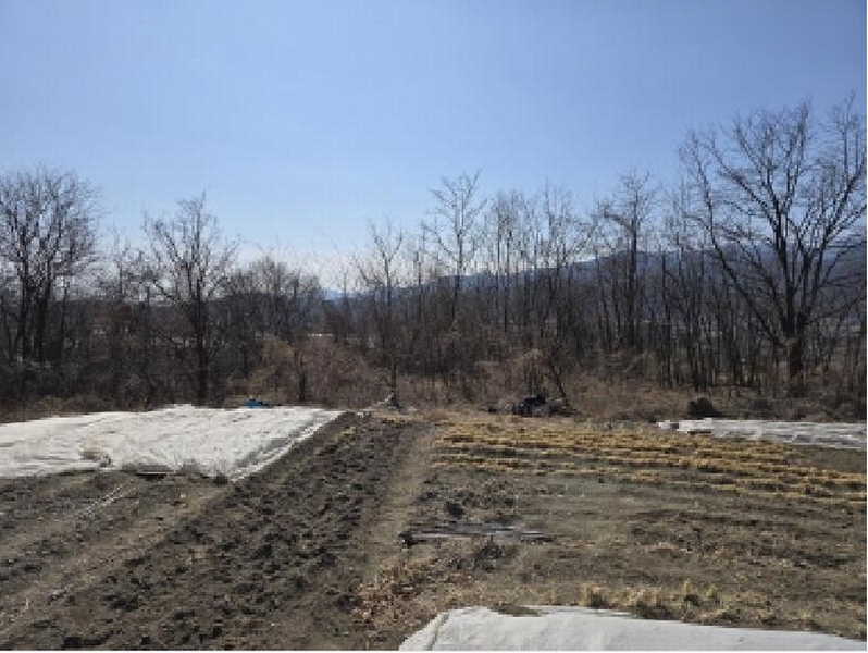 2025타경6141 경상북도 영천시 신녕면 완전리 775-3 농지 경매 이미지