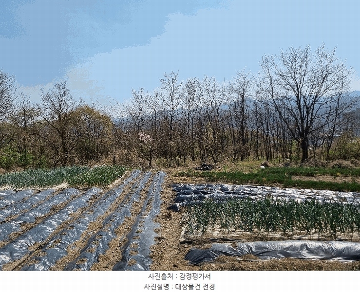 2025타경6141 경상북도 영천시 신녕면 완전리 775-3 농지 경매 이미지
