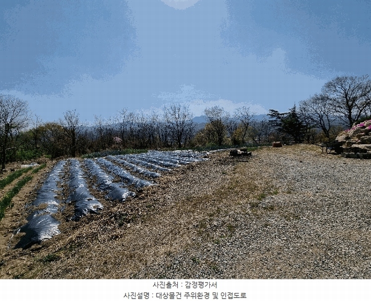 2025타경6141 경상북도 영천시 신녕면 완전리 775-3 농지 경매 이미지
