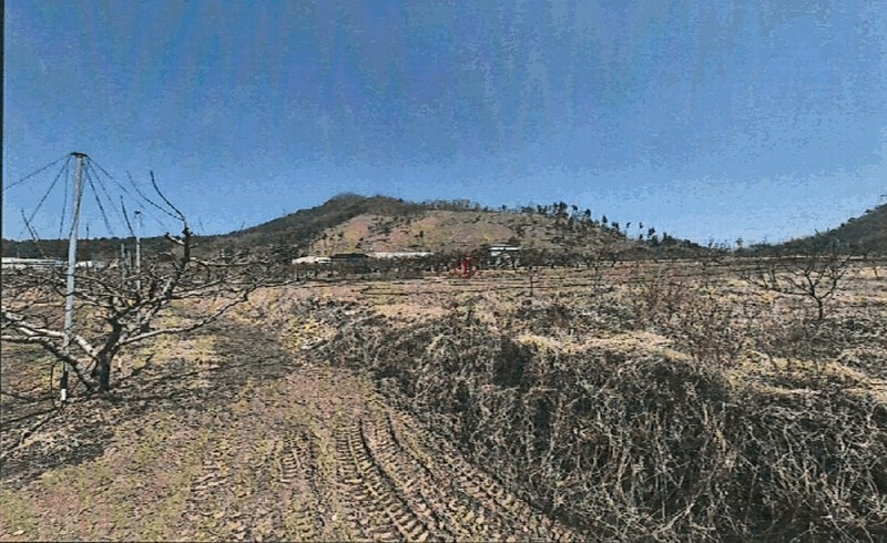 2025타경6578 경상북도 영천시 대창면 조곡리 441-2 농지 경매 이미지
