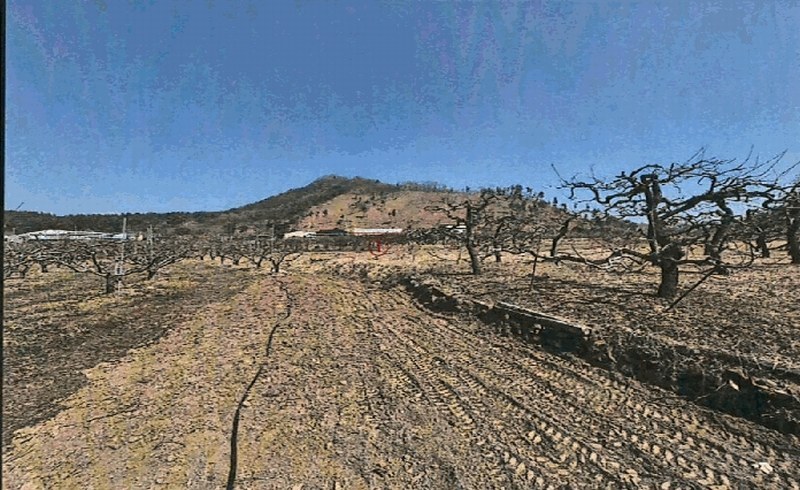 2025타경6578 경상북도 영천시 대창면 조곡리 441-2 농지 경매 이미지
