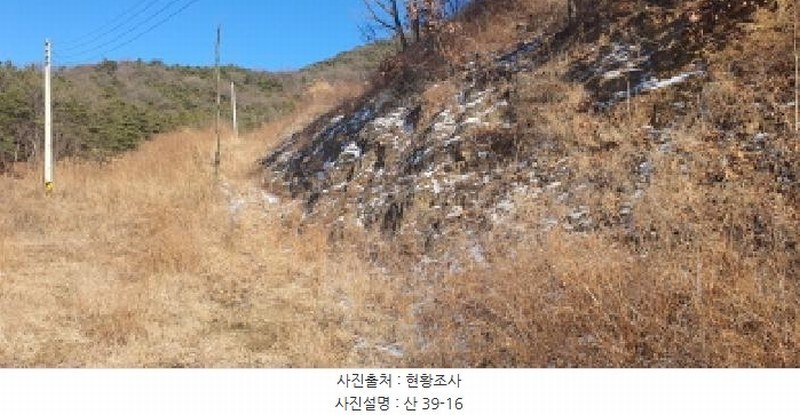 2025타경7287 경상북도 경산시 용성면 외촌리 산39-16 임야 경매 이미지