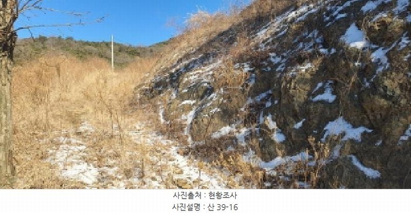 2025타경7287 경상북도 경산시 용성면 외촌리 산39-16 임야 경매 이미지