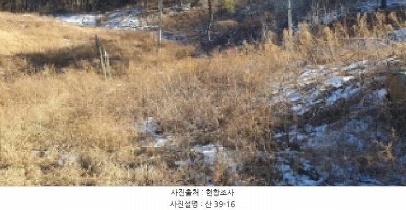 2025타경7287 경상북도 경산시 용성면 외촌리 산39-16 임야 경매 이미지