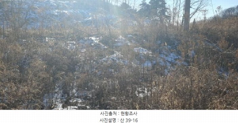 2025타경7287 경상북도 경산시 용성면 외촌리 산39-16 임야 경매 이미지