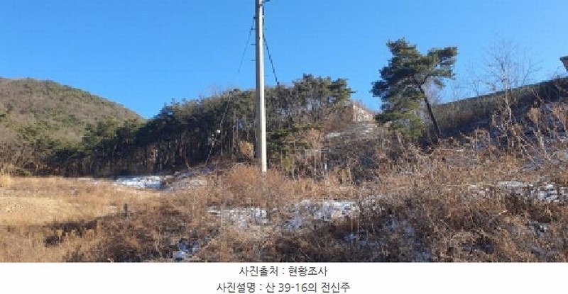 2025타경7287 경상북도 경산시 용성면 외촌리 산39-16 임야 경매 이미지