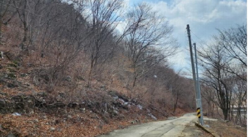 2025타경956 경상남도 양산시 원동면 선리 산77 임야 경매 이미지