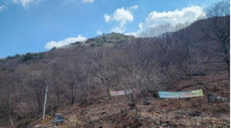 2025타경956 경상남도 양산시 원동면 선리 산77 임야 경매 이미지