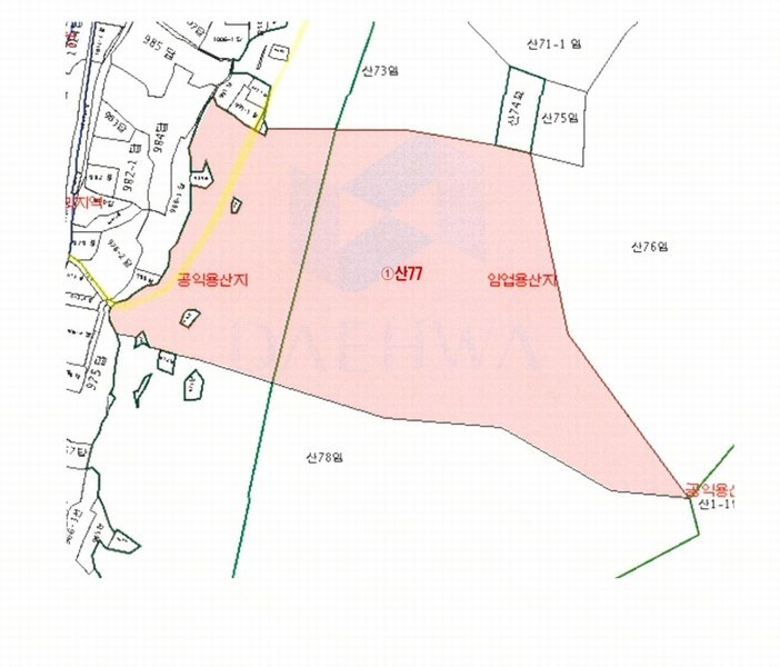 2025타경956 경상남도 양산시 원동면 선리 산77 임야 경매 이미지