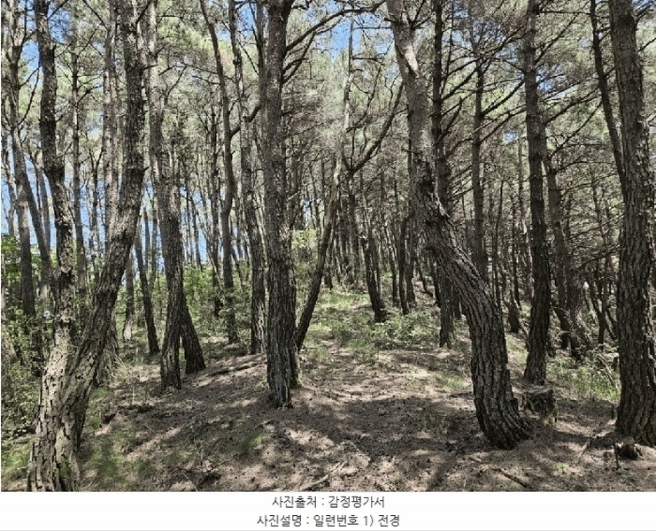 2025타경967 경상북도 청도군 매전면 구촌리 산7 임야 경매 이미지