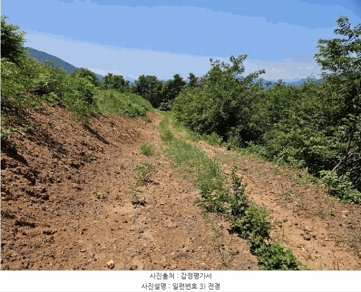 2025타경967 경상북도 청도군 매전면 구촌리 산7 임야 경매 이미지