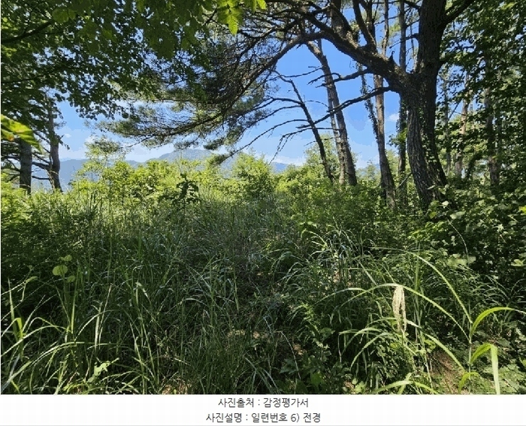 2025타경967 경상북도 청도군 매전면 구촌리 산7 임야 경매 이미지