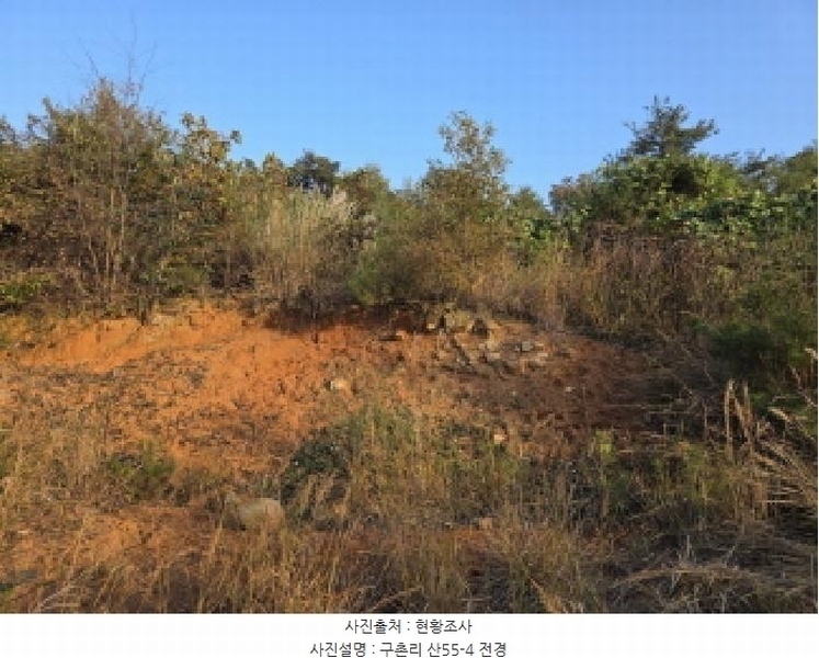 2025타경967 경상북도 청도군 매전면 구촌리 산7 임야 경매 이미지