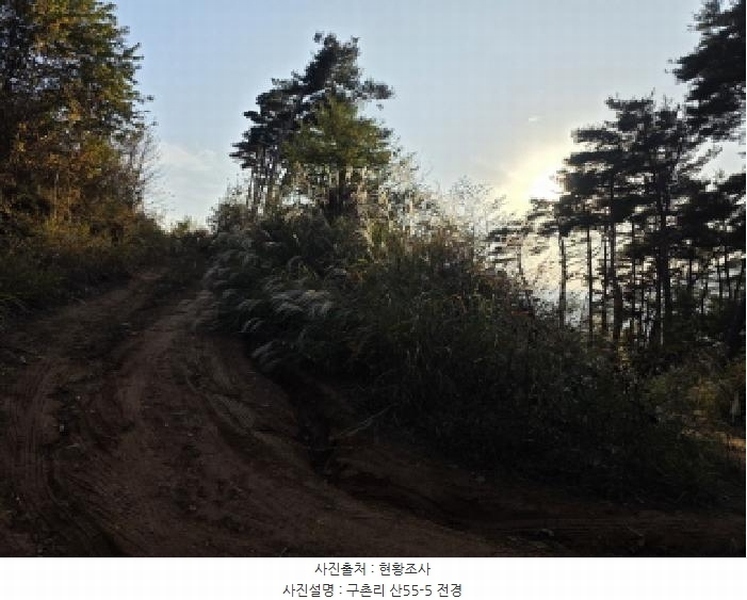 2025타경967 경상북도 청도군 매전면 구촌리 산7 임야 경매 이미지