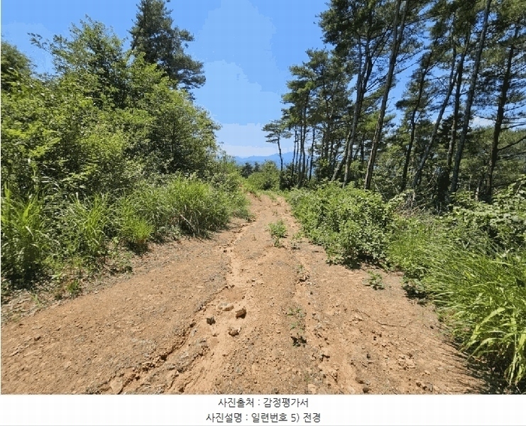 2025타경967 경상북도 청도군 매전면 구촌리 산7 임야 경매 이미지