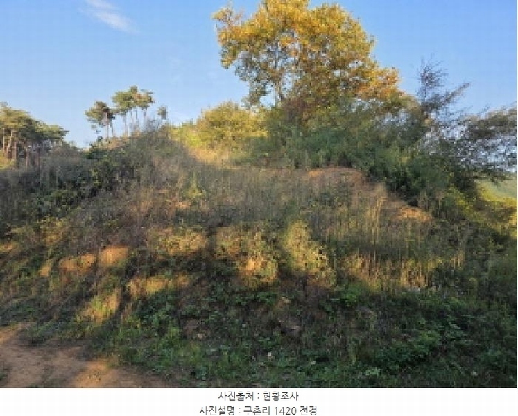 2025타경967 경상북도 청도군 매전면 구촌리 산7 임야 경매 이미지