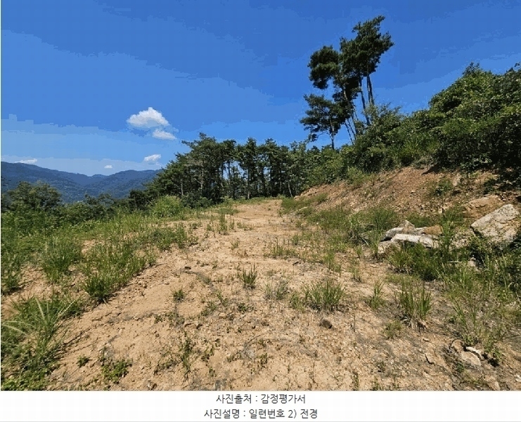 2025타경967 경상북도 청도군 매전면 구촌리 산7 임야 경매 이미지
