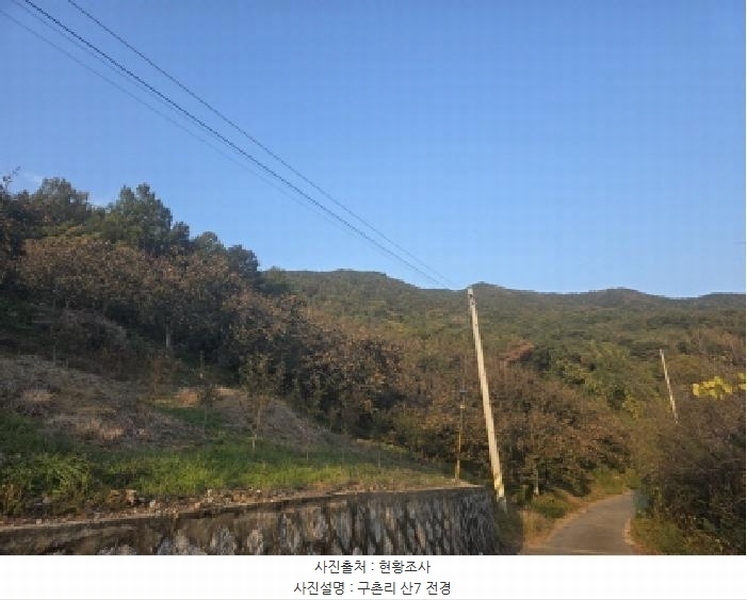 2025타경967 경상북도 청도군 매전면 구촌리 산7 임야 경매 이미지