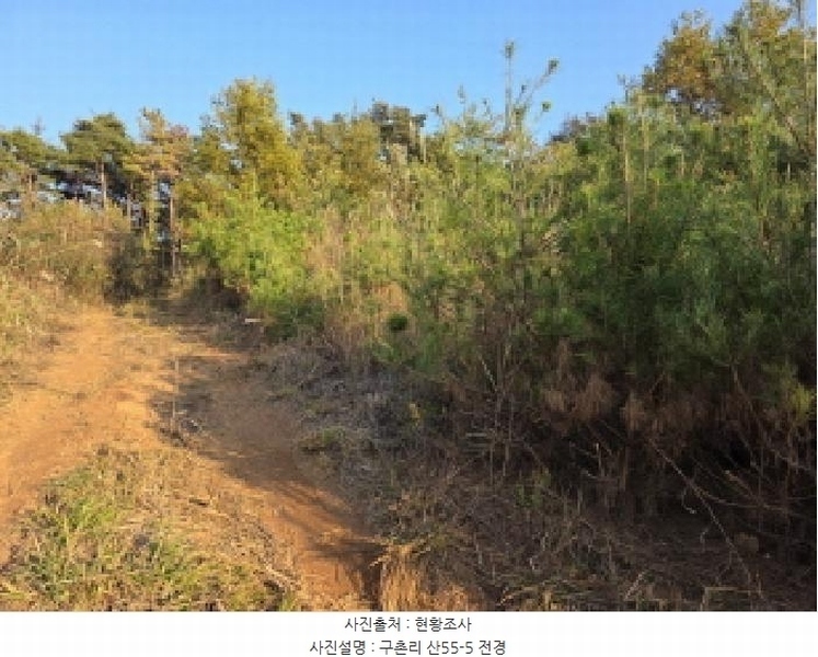 2025타경967 경상북도 청도군 매전면 구촌리 산7 임야 경매 이미지