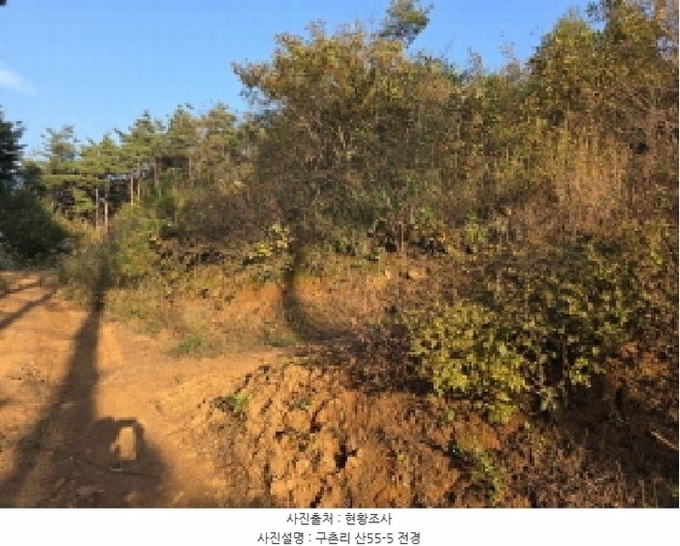 2025타경967 경상북도 청도군 매전면 구촌리 산7 임야 경매 이미지