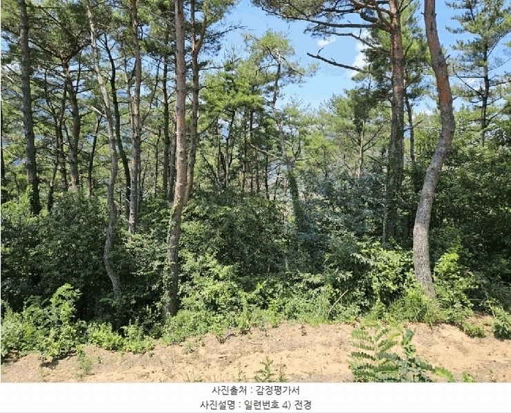 2025타경967 경상북도 청도군 매전면 구촌리 산7 임야 경매 이미지