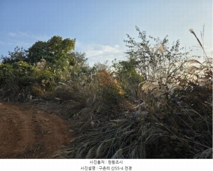 2025타경967 경상북도 청도군 매전면 구촌리 산7 임야 경매 이미지